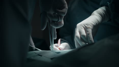 surgical procedure