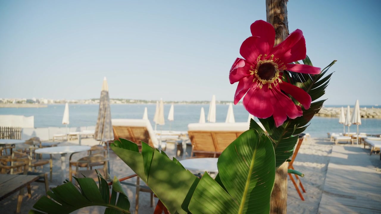 Grande flor decorativa rosa exibida em um resort de luxo à beira-mar com espreguiçadeiras e vista para o mar ao fundo