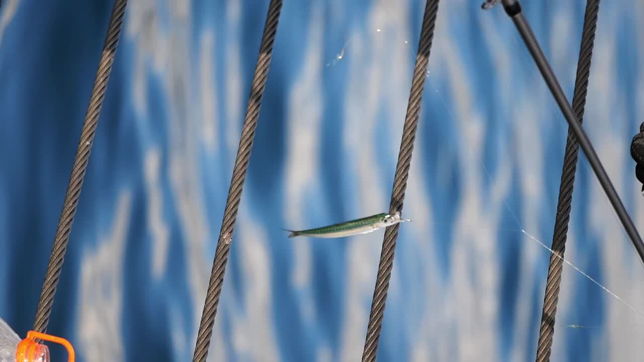 Fishing with a small fish caught on the line