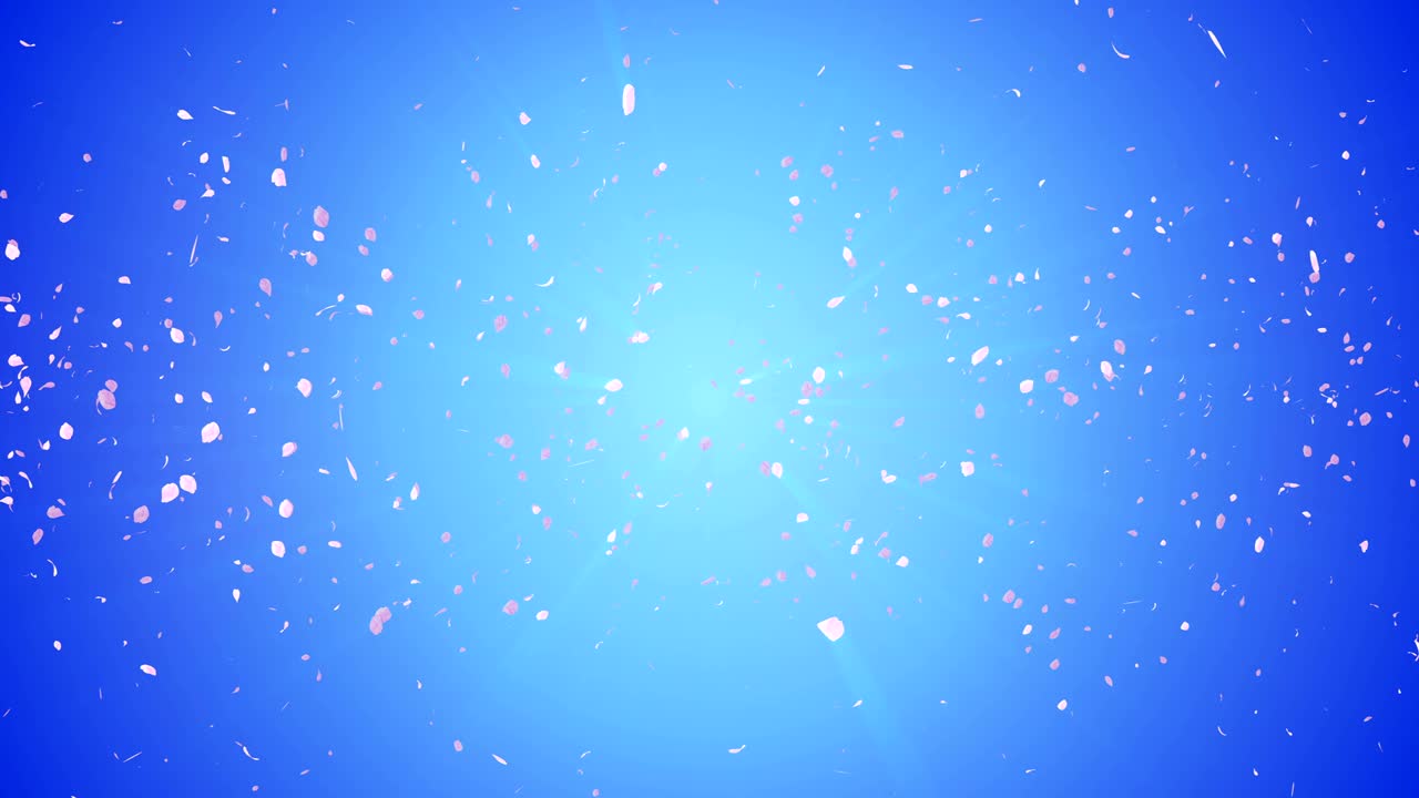 꽃의 나선형 반이는 입자, 사쿠라 패턴, 일본의 꽃 춤, 분홍색 꽃잎의 소용돌이, 추상적인 루프 애니메이션.