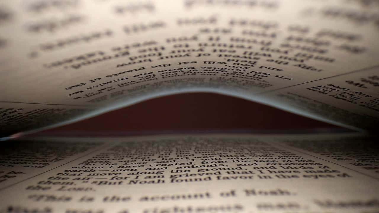 sacando lentamente la lente de un libro a la vista de las palabras de las páginas, páginas en la parte superior e inferior del punto de vista