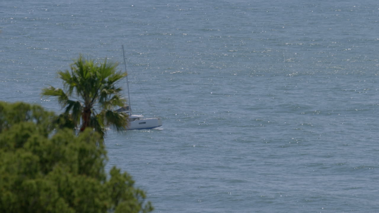 캘리포니아 말리부의 반짝이는 봄 오후에 야자수 뒤에서 범선이 나타납니다.