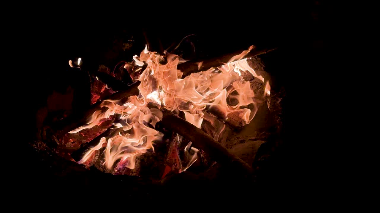 밤에 장작불 모닥불 자연 속에서 여행 캠핑에서 벽난로에서 타는 나무 막대기