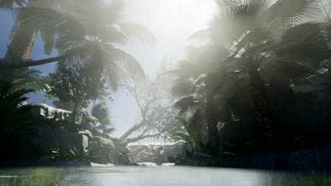 Sunset-Beams-through-Palm-Trees