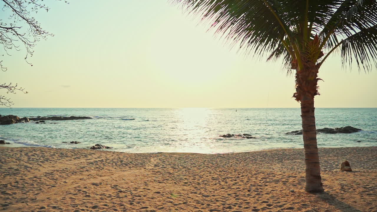 silueta de palmera en la puesta de sol de la isla de la playa junto al mar