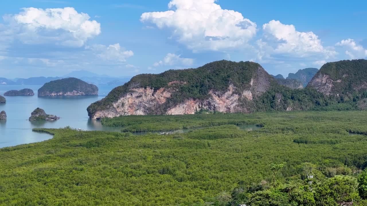 A breathtaking view of expansive mangroves and limestone cliffs under a vibrant blue sky with scattered clouds.