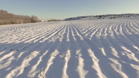 winter aerial flyover snowy field