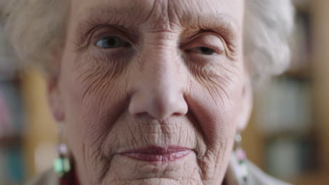 close up portrait of confident elderly caucasian woman looking at camera peaceful calm