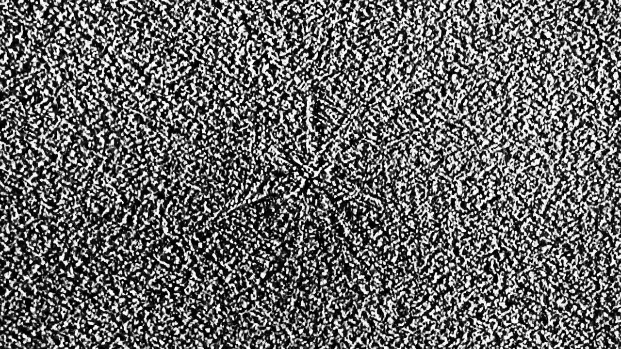 Static Noise Analog Texture Pattern. Animation