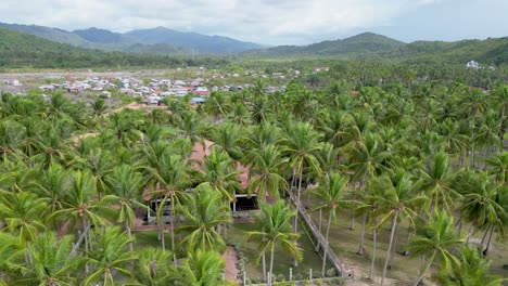 tropical resort hidden behind palm trees of nacpan beach el nido palawan