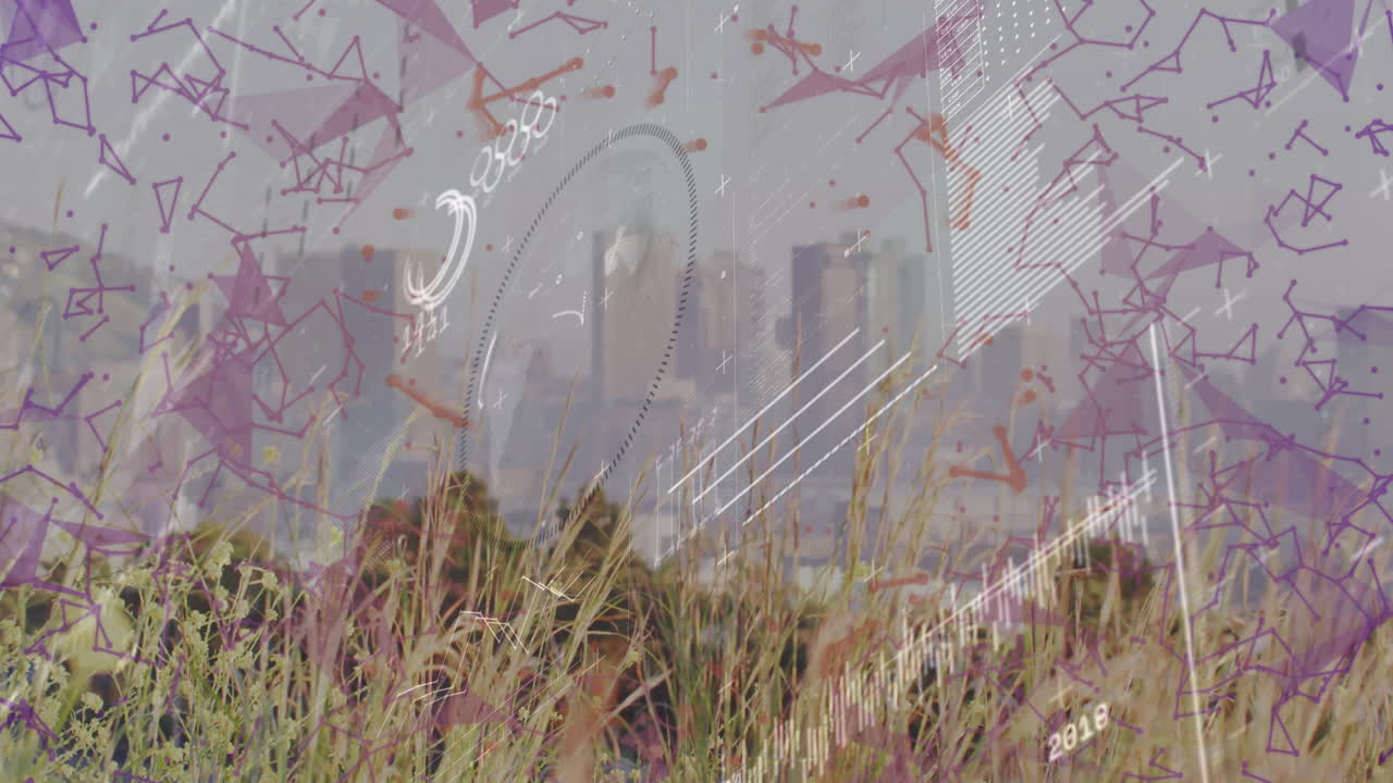 Abstract geometric shapes and lines animation over cityscape and grassy field
