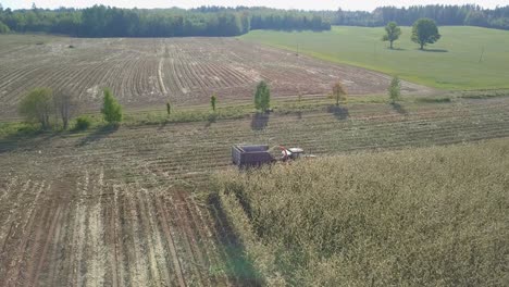 Scenic-panorama-view-of-reaping-and-harvesting-corn-field-in-rural-area