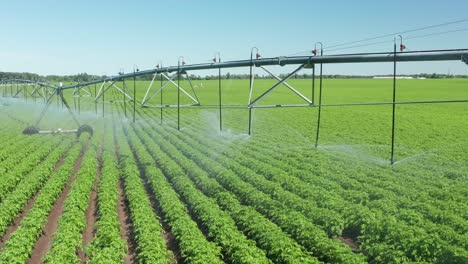 aerial, center pivot irrigation sprinklers watering agriculture farm field crops