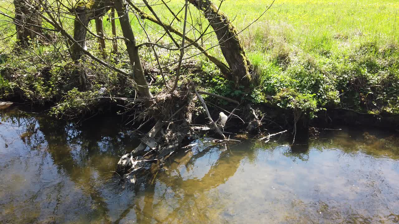 그 안에 쓰레기 조각이 흐르는 강