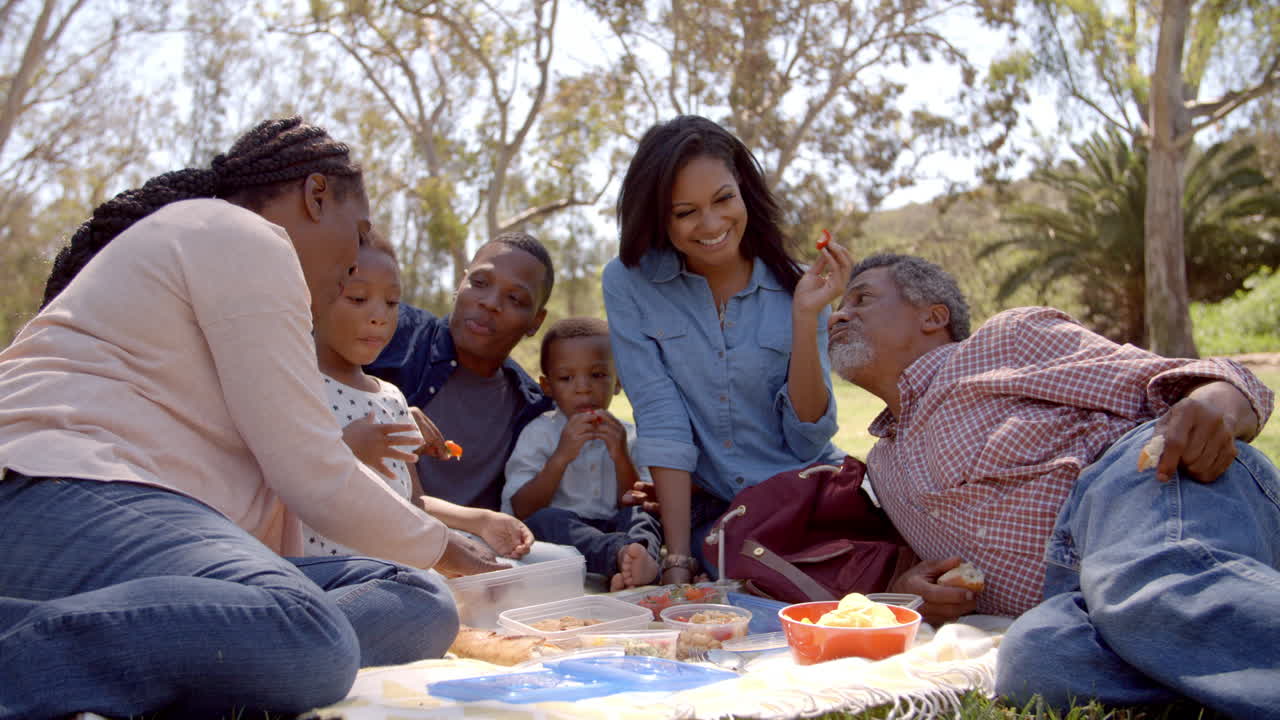 Multi generation family black family eating picnic in a park