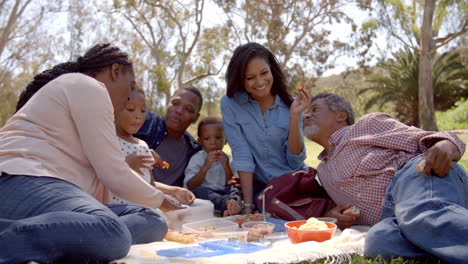Mehrgenerationenfamilie,-Schwarze-Familie,-Die-Picknick-In-Einem-Park-Isst