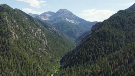 breathtaking nature scenery of utah's wasatch mountains, aerial drone view