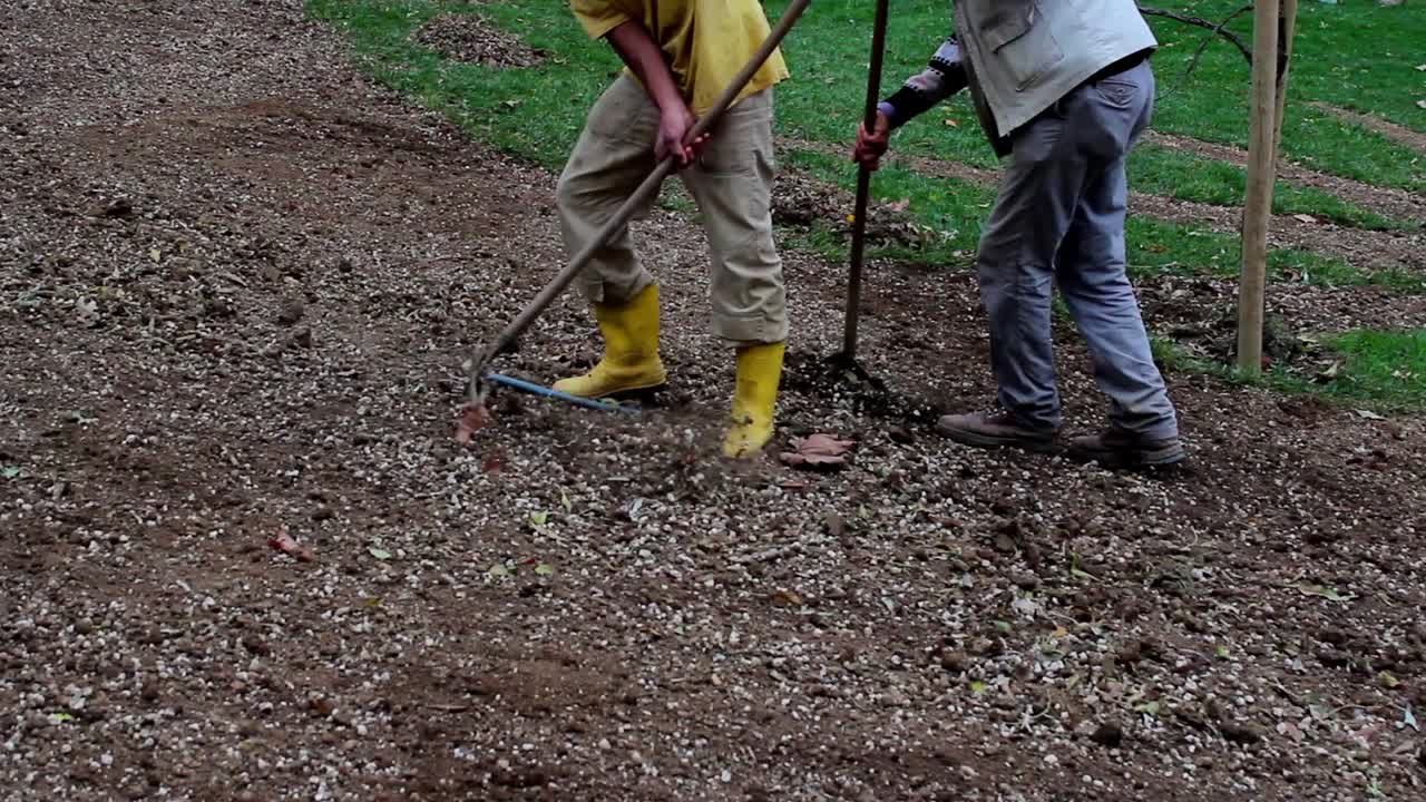 planta de trabajador en equipo en el parque 4