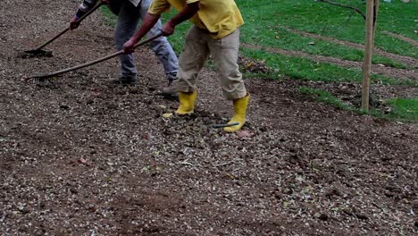 Planta-De-Trabajador-En-Equipo-En-El-Parque-4