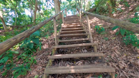 climbing wooden rustic stairs in the forest