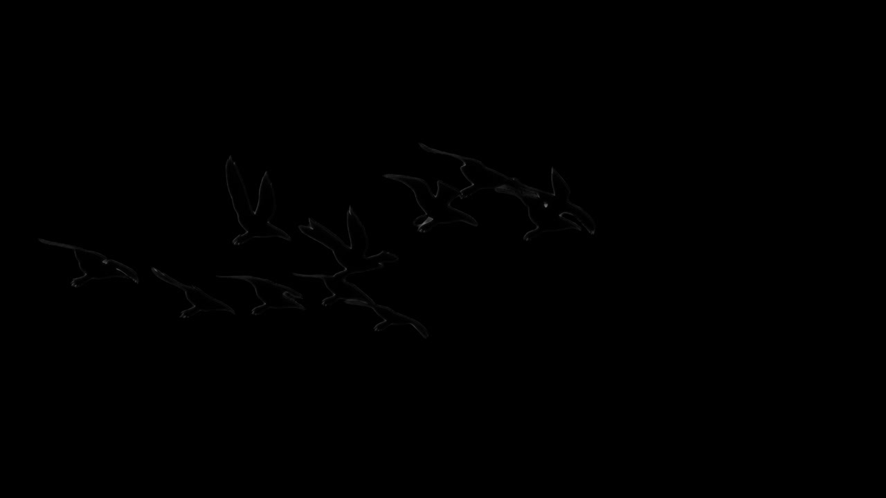 Risorsa isolata di animazione con silhouette di uccelli in volo verso l'alto, video 4K trasparente, canale alfa