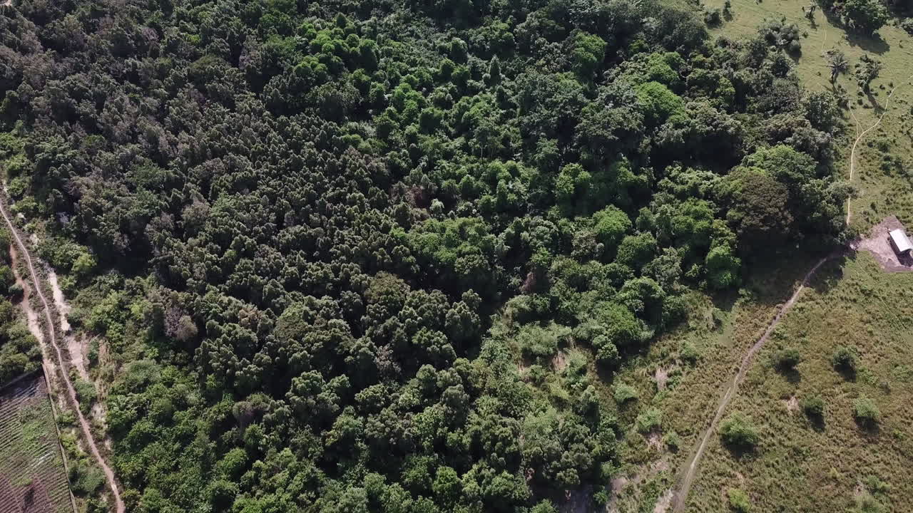 foto aérea de un bosque entre carreteras en benin, áfrica occidental