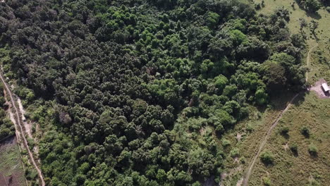 Luftaufnahme-Eines-Waldes-Zwischen-Straßen-In-Benin,-Westafrika