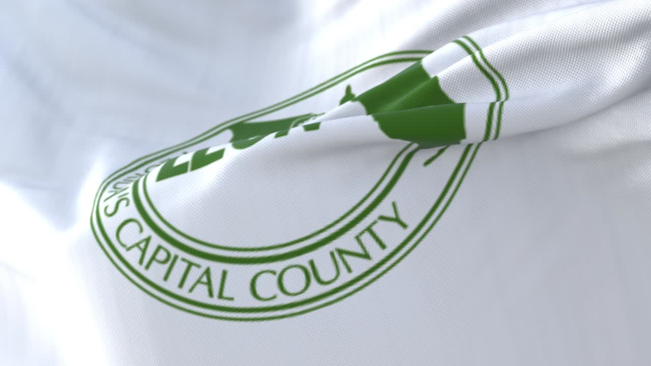 bandera de león, condado del estado de florida, en los estados unidos - bucle