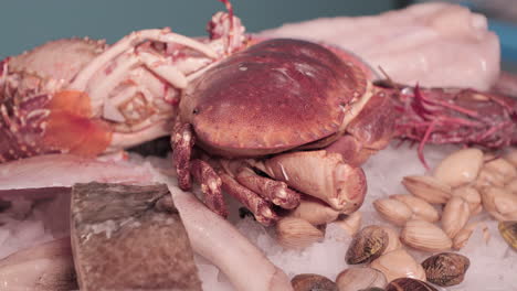 cangrejo vivo, almejas y cortes de pescado en exhibición sobre el hielo