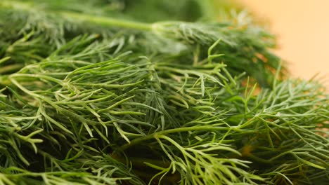 fresh dill
