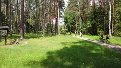 Cyclists-On-Biking-Path-Through-Forest-Trees-In-Poland