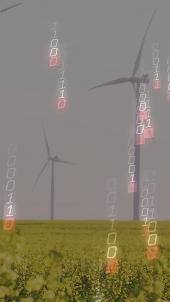 Video verticale: Turbine che girano a causa del vento; codice binario che cade più luminoso, mostrando energia nella colza.