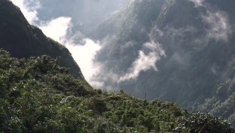 a peaceful mountain valley shrouded in mist, showcasing lush vegetation and an ethereal atmosphere with clouds gently touching the verdant slopes at fansipan, the summit of vietnam