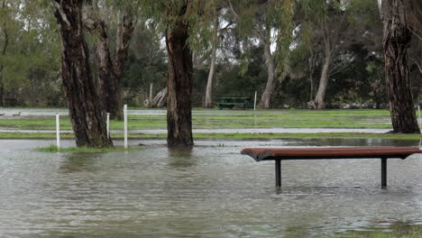 flood waters in a suburban park