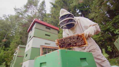 upward looking pan shot of beekeeper in suit inspecting hive frame among bees