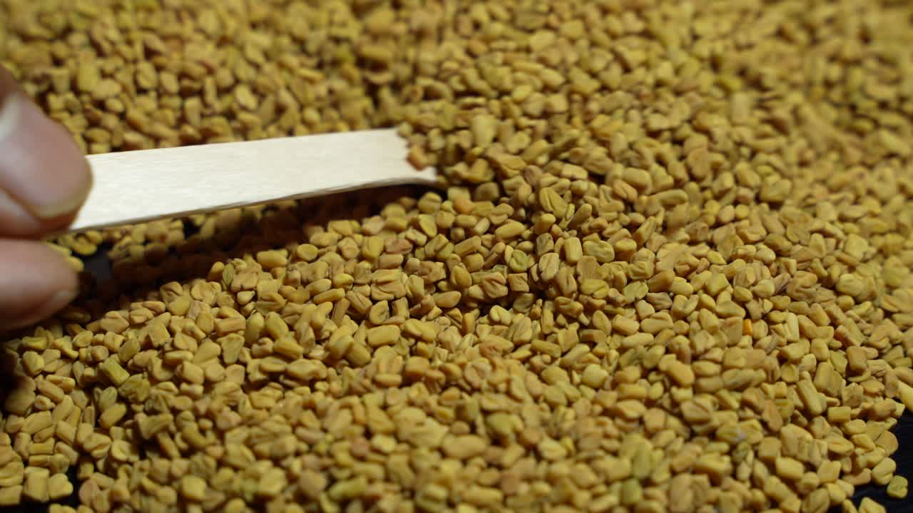 Fenugreek is a beneficial food for diabetes