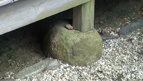 post of engawa of japanese house rests on a rock