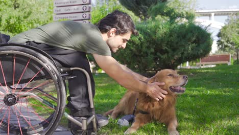 physically disabled young man loves dogs.