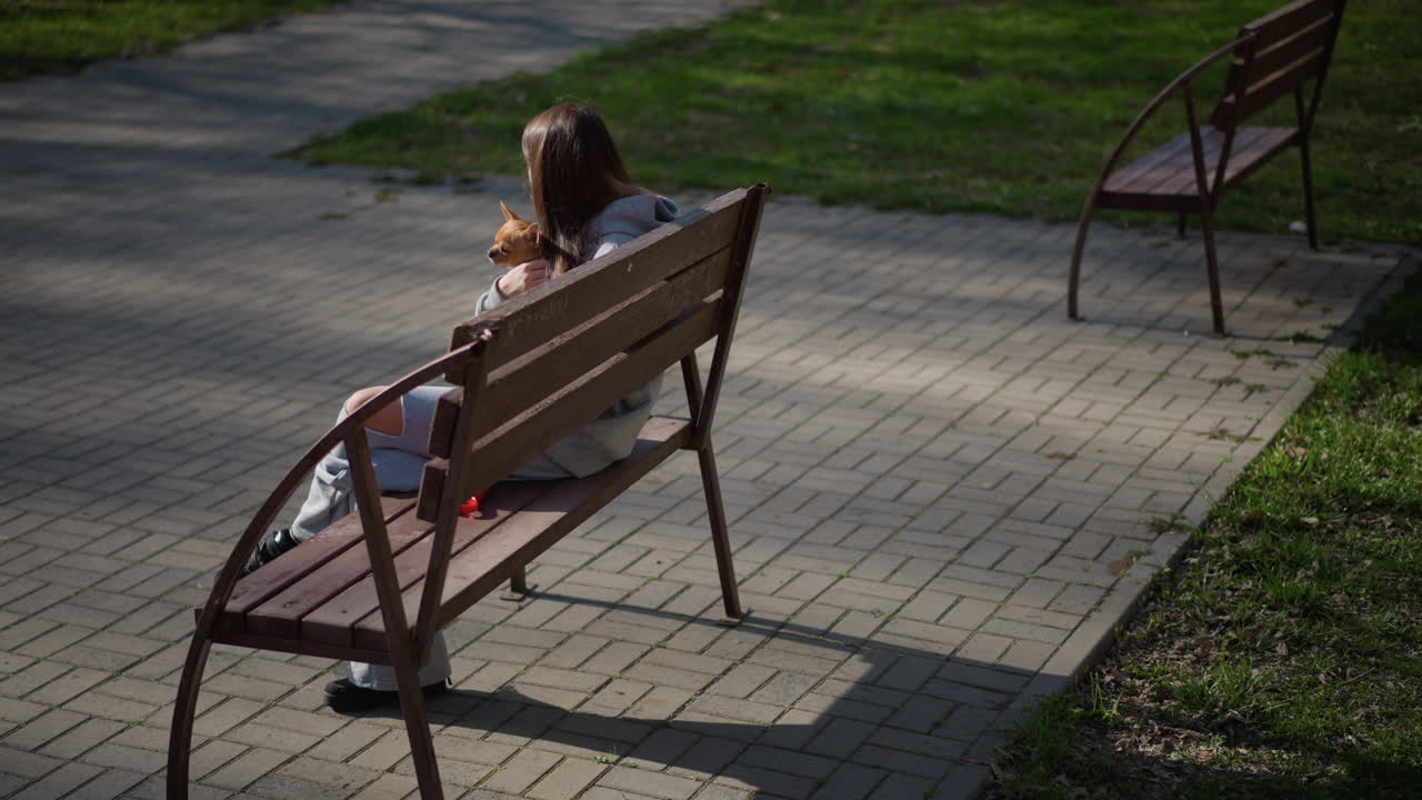 작은 강아지를 안고 미소 짓는 소녀, 조용한 공원에서 여유로운 시간을 즐기는 젊은 여성, 공원 벤치에서 작은 애완동물을 부드럽게 안아주는 십 대 소녀, 화창한 공원 벤치에서 작은 강아지와 다정한 시간을 보내는 젊은 여성