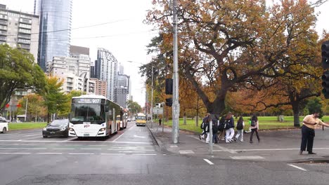 pedestrians and vehicles at a city intersection