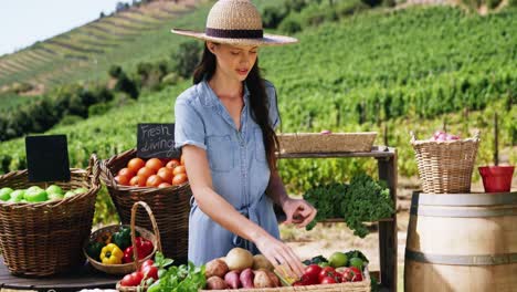 Woman-arranging-fresh-vegetables-in-basket-at-farm