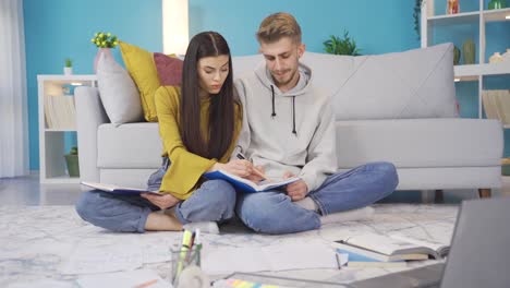 una feliz pareja de estudiantes estudiando en casa.