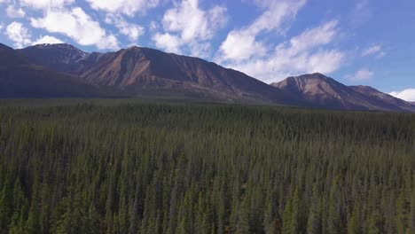 Bosque-Denso-Con-Montañas-En-El-Fondo