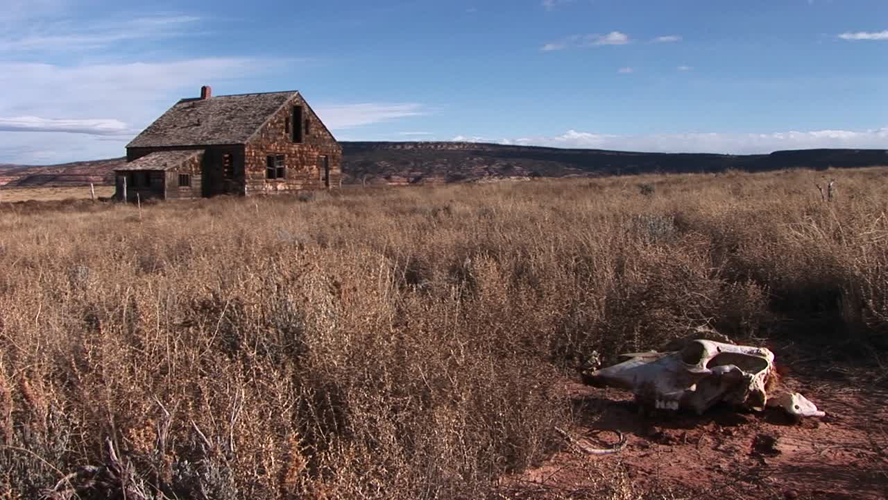 plano medio de un cráneo de vaca en el cepillo al lado de una granja abandonada