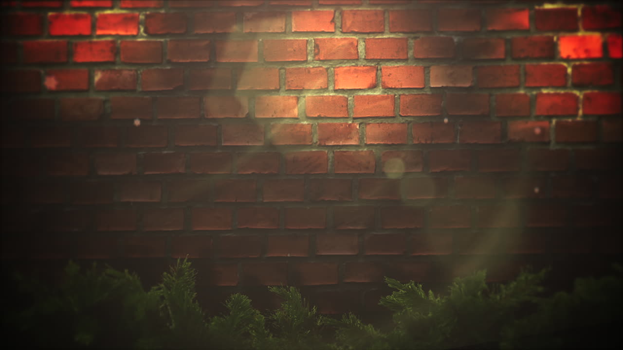 애니메이션 클로즈업 추상 보케 및 크리스마스 녹색 나뭇가지 1