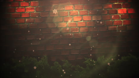 bokeh abstracto de primer plano animado y ramas de árboles verdes de navidad 1