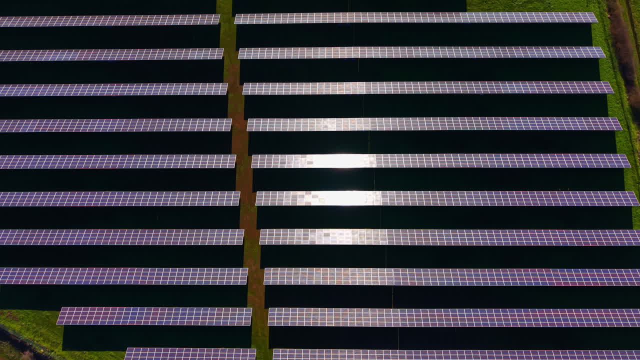 Pannelli solari su un grande campo durante una giornata di sole mostrano la produzione di energia rinnovabile con file di pannelli allineati per efficienza e generazione di energia.