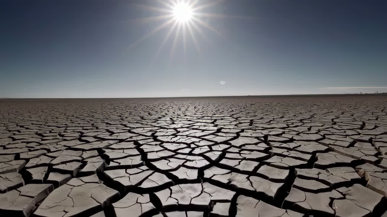 Dried cracked earth landscape