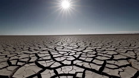dried cracked earth landscape