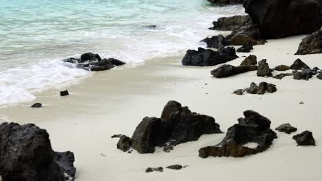 playa tropical con rocas negras y olas